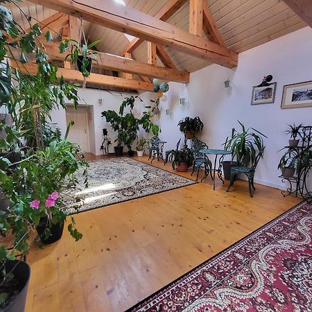 Hostel Cosmopolitan* Banská Štiavnica エクステリア 写真
